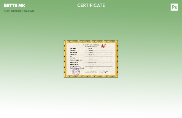 модерен стил, шаблон за ПСД од извод од матична книга на родените во Северна Ирс